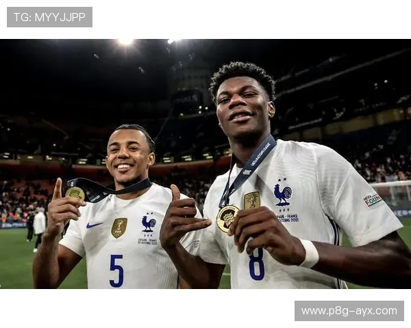 楚阿梅尼:法国国脚防守中场新核心