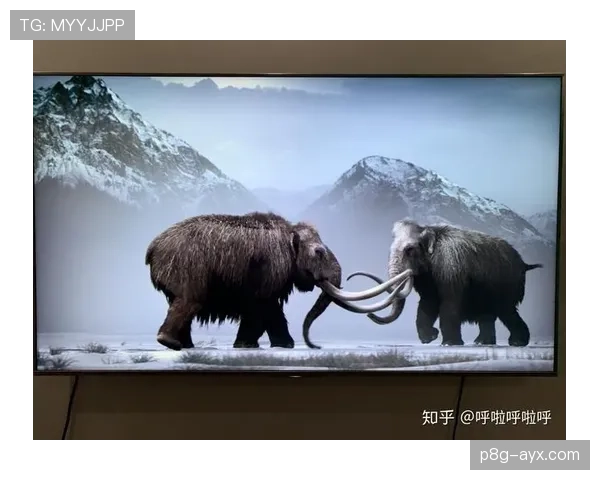 丹麦羽球名将维克托·阿克塞尔森:巨人统治的时代还在继续 丹麦羽球名将维克托·阿克塞尔森:巨人统治的时代还在继续