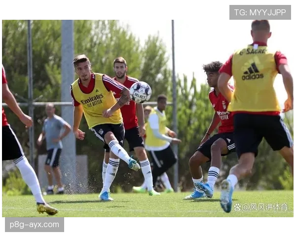 欧洲U17锦标赛新星榜发布 年轻才俊闪耀引领足球未来