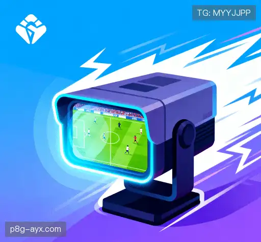 我们的竞争优势